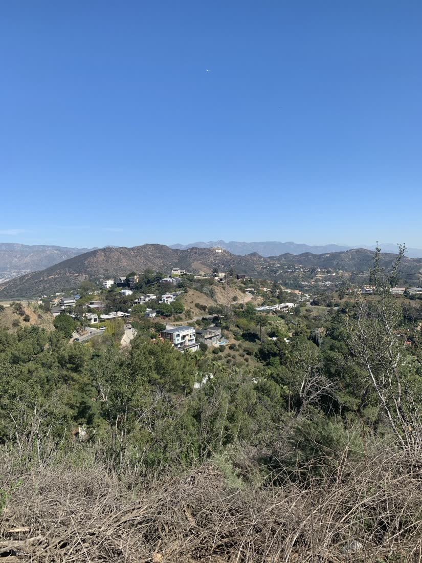 View from Runyon Canyon over the Hollywood Hills